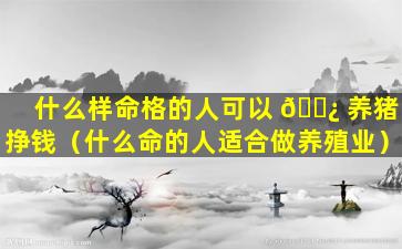 什么样命格的人可以 🌿 养猪挣钱（什么命的人适合做养殖业）